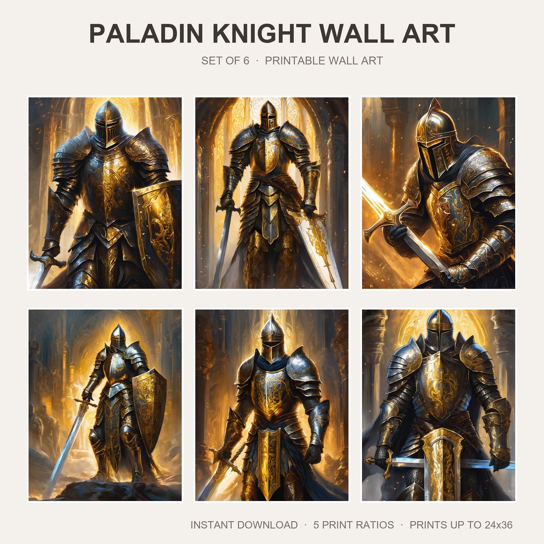 Paladin knight wall art